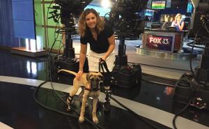 Mostarka Maja u ratu ostala bez noge, a onda joj je Rosie ušla u život