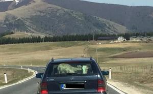 Mercedes i tele? Ma može na bh. autoputu!