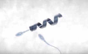 Stvoren Spermbot: Motor koji spore spermije vozi do jajne stanice