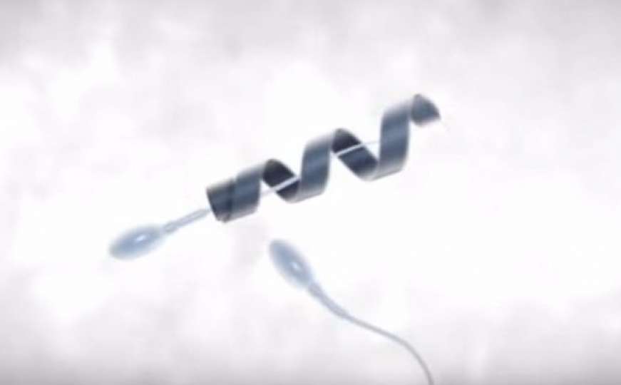 Stvoren Spermbot: Motor koji spore spermije vozi do jajne stanice