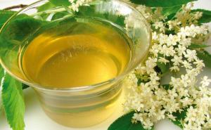 Zova liječi i najopasnije bolesti: Evo kako se pravi sok, čaj i ljekoviti med!