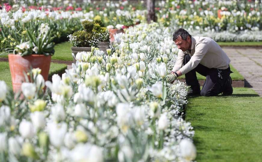 Bijeli vrt posvećen princezi Diani