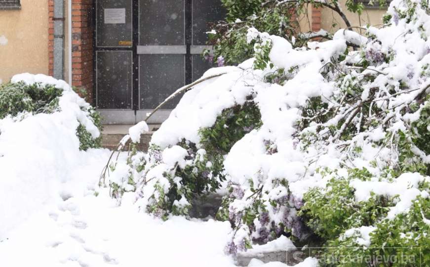 Građani dužni uklanjati snijeg ispred svojih objekata i drveća