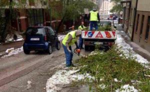 Sanacija uništenog drveća i signalizacije nakon snježnih padavina