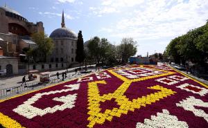 U Istanbulu "procvjetao" najveći ćilim od tulipana na svijetu