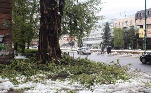 Fahrudin Solak: Poljoprivredna šteta će biti značajna