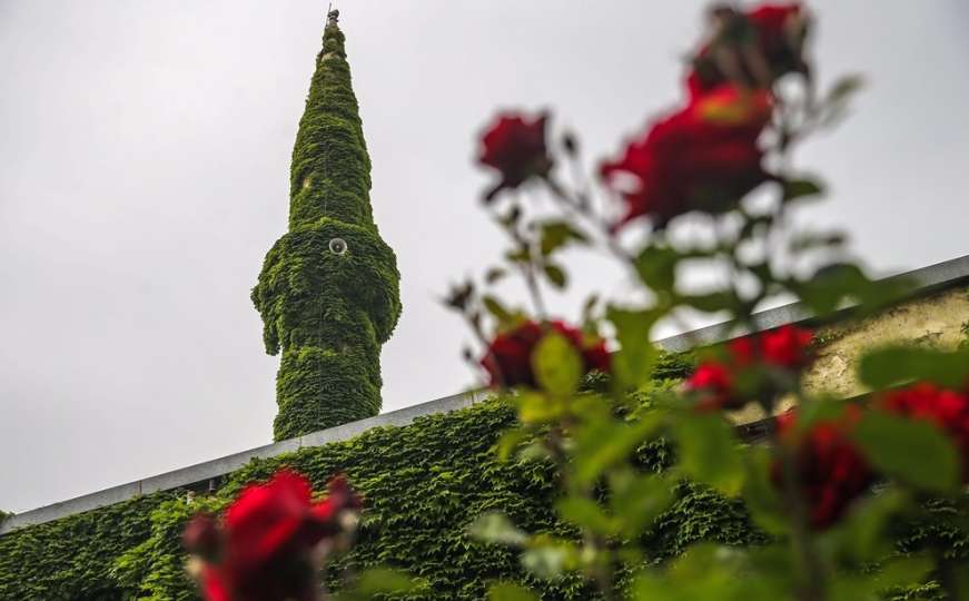 Zelena ljepotica: Džamija poput botaničkog vrta