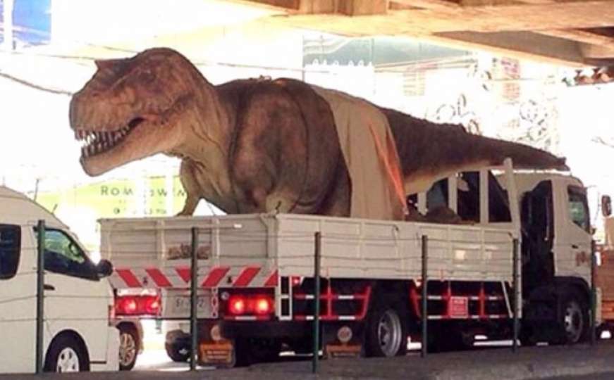 U Trebinje stigli dinosauri, najveći dug osam metara