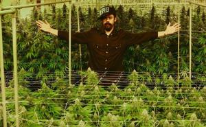 Najmlađi sin Boba Marleyja pokreće biznis sa marihuanom