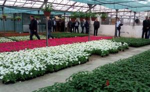 Otvoren rekonstruirani vrtni centar Flora u Nedžarićima