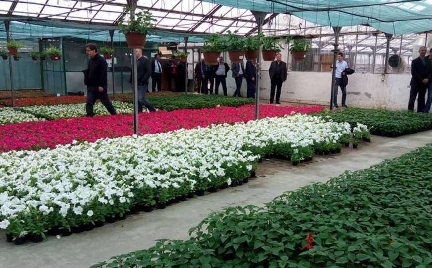 Otvoren rekonstruirani vrtni centar Flora u Nedžarićima
