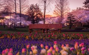 Kada biste poželjeli ugodno okruženje: Da li bi ovo mjesto bilo dovoljno