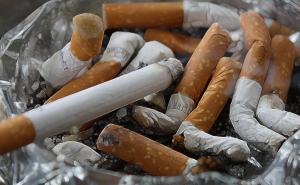 Nedopustivo uplitanje duhanske industrije u rad Parlamenta FBiH 