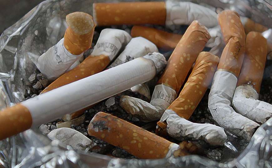 Nedopustivo uplitanje duhanske industrije u rad Parlamenta FBiH 