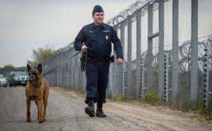 Posao za 700 zatvorenika: Mađarska postavila i drugu bodljikavu žicu prema Srbiji