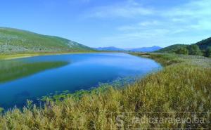 Atrakcija u našoj BiH: Fotosafari u Parku prirode Hutovo blato