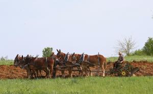 Već stoljećima odbijaju živjeti poput modernog svijeta