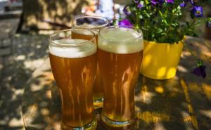 Nekoliko čaša piva ima isti učinak kao paracetamol