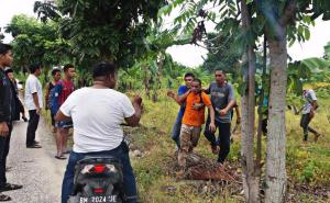 Uoči džume: Oko 200 zatvorenika pobjeglo kad su pušteni na molitvu