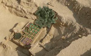 Prvi put moguće vidjeti pogrebni vrt star 4.000 godine