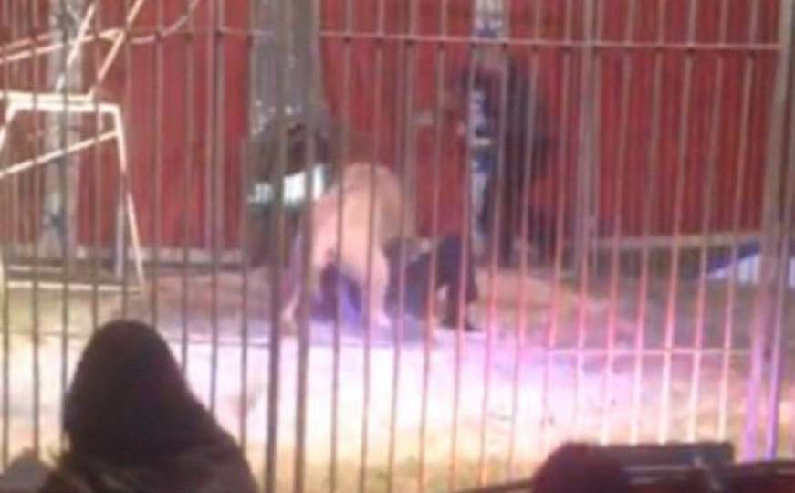 Lav napao i teško ozlijedio krotitelja u cirkusu