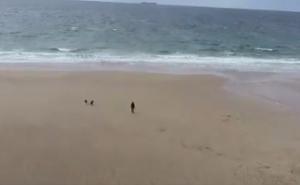 Vratila se pješčana plaža koja je nestala prije više od 30 godina