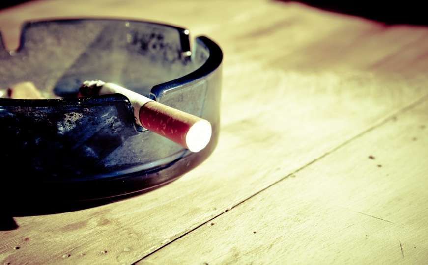 "Miješanje duhanskog lobija u rad Parlamenta FBiH je nedopustivo"