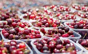 Pet razloga zbog kojih trebate češće jesti trešnje