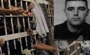 Nikola Ćeranić pušten iz ekstradicionog pritvora u Brazilu