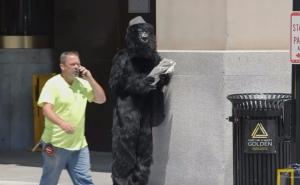 Eksperiment: Velika grupa prolaznika nije zapazila gorilu na trotoaru