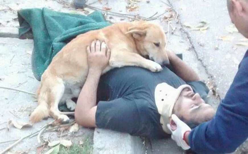 Nakon pada sa stabla, vjerni pas ga grlio do dolaska pomoći 