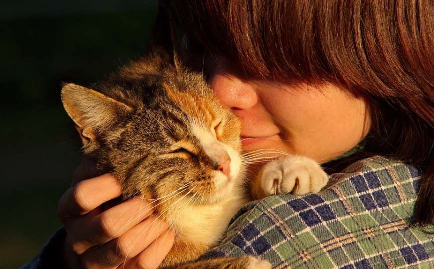 Razbijene predrasude: Mačke zaista vole ljude