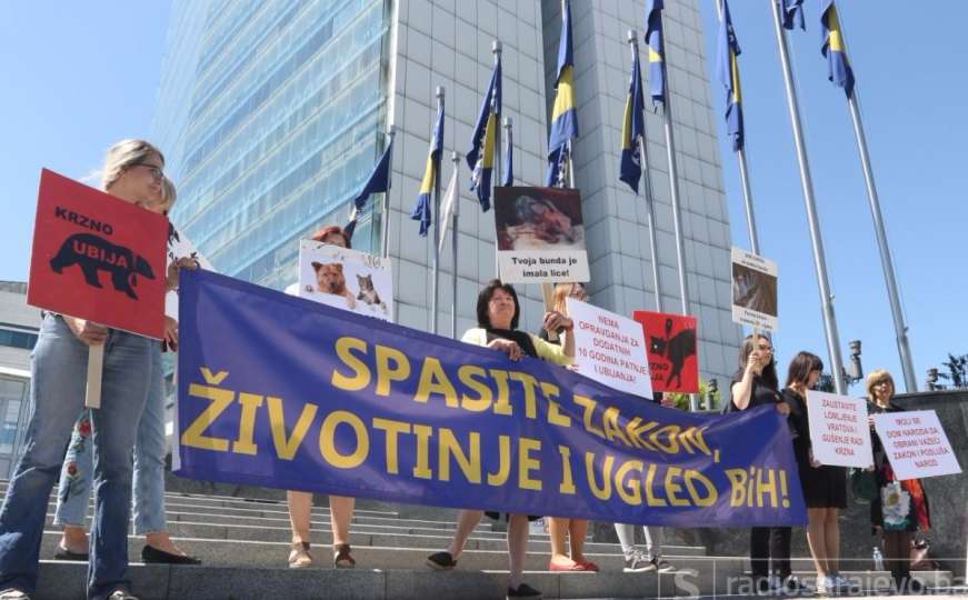Protesti pred Parlamentom: Spasite zakon, životinje i ugled BiH