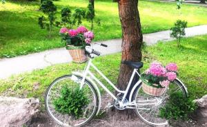 Kako pripremiti tijelo i duh za proljeće: Priroda kasni pa možemo i mi