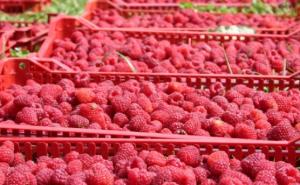 Malinari u FBIH neće biti oštećeni