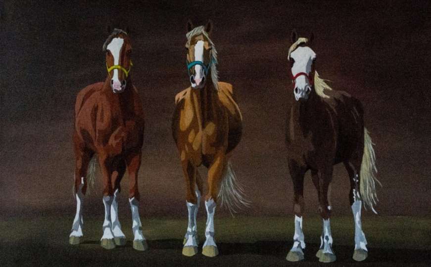Plemenitost konja kao motiv izložbe Elvedina Poturka 
