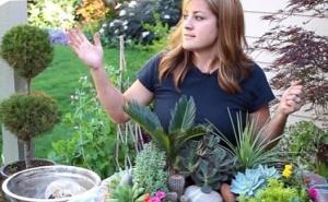 Žena koja je napravila malo zeleno carstvo kao iz bajke