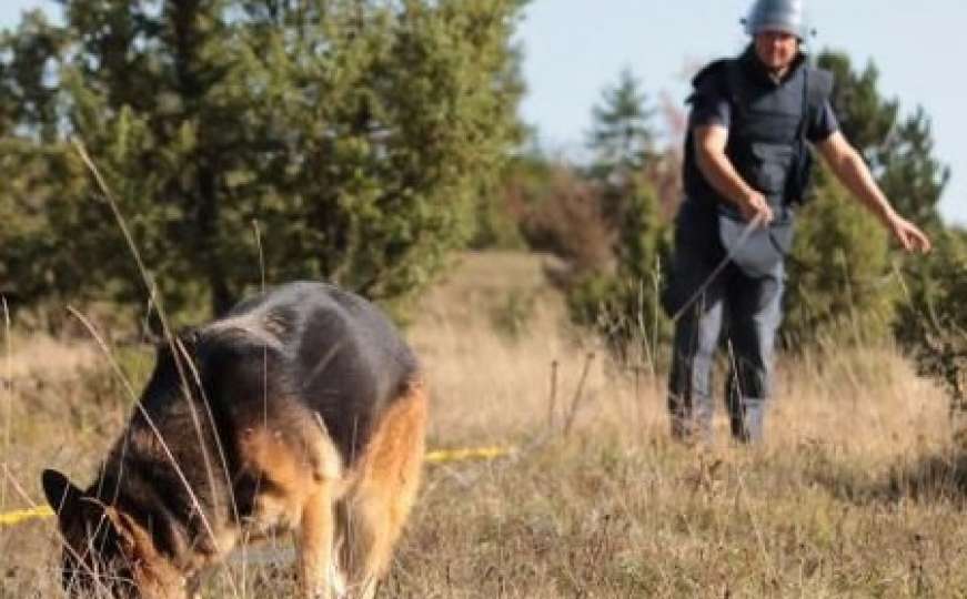 FUCZ dobija dva psa za potrage za nestalim osobama na otvorenom