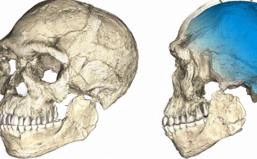Maroko: Otkriveni fosili najstarijeg Homo sapiensa