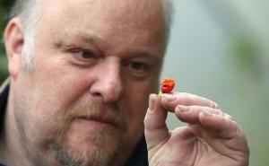 Uzgojio papričicu koja je toliko ljuta da može da ubije