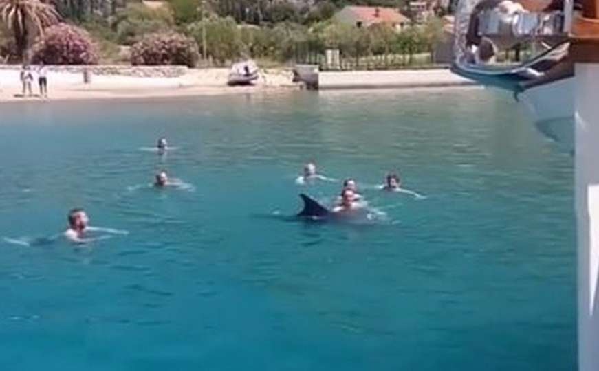 Kupače u Slanom iznenadio delfin koji se brčkao s njima