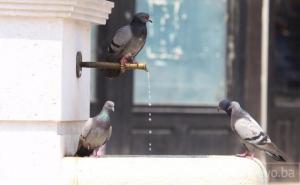 Do 27. juna nestabilno vrijeme s povremenim pljuskovima