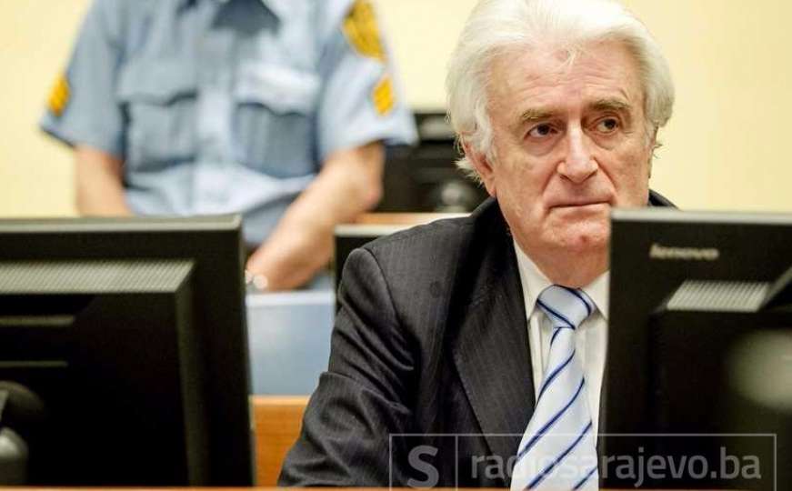 Radovan Karadžić želi Skype u pritvoru