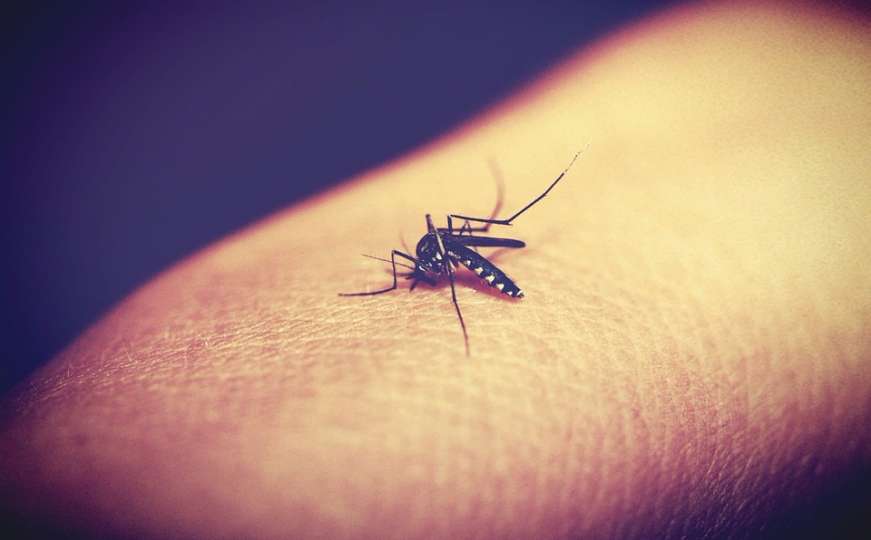 Pijana Poljakinja pozvala hitnu zbog uboda komarca