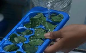 Neka vaši začini budu uvijek svježi uz pomoć kockica leda