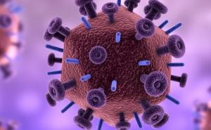 Napredak u liječenju virusa HIV-a: "Sada znamo mnogo više"