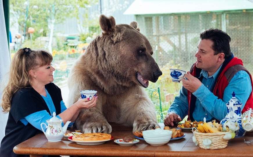 Ruska porodica usvojila medvjeda: Živi s njima u kući već 22 godine