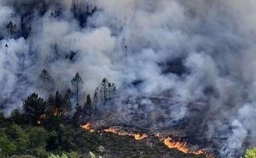 Trebinje: U toku akcija gašenja požara koji se širi prema naseljima