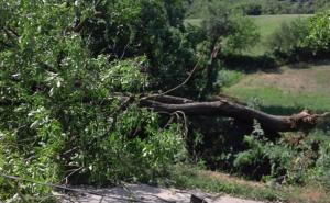 Područje općine Gradačac zahvatilo jako nevrijeme: Vjetar čupao drveće