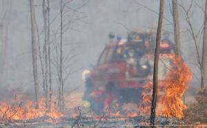 Rekordno visoke temperature u Evropi uzrokovane ljudskim djelovanjem